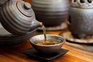 老茶客經(jīng)驗談 50元與500元茶葉，到底差在哪里？